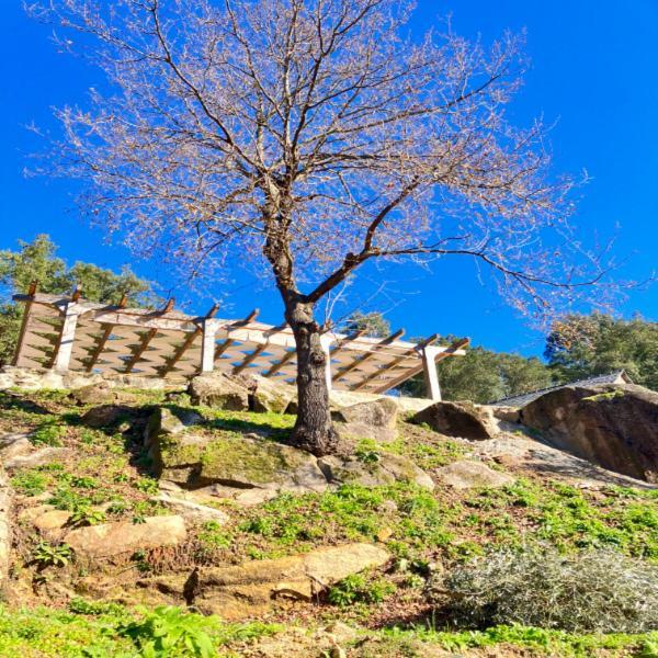Paiva Valley Alvarenga Kültér fotó